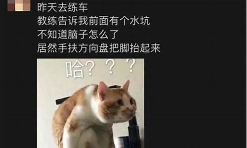 一本正经的沙雕文案_一本正经的沙雕文案段子